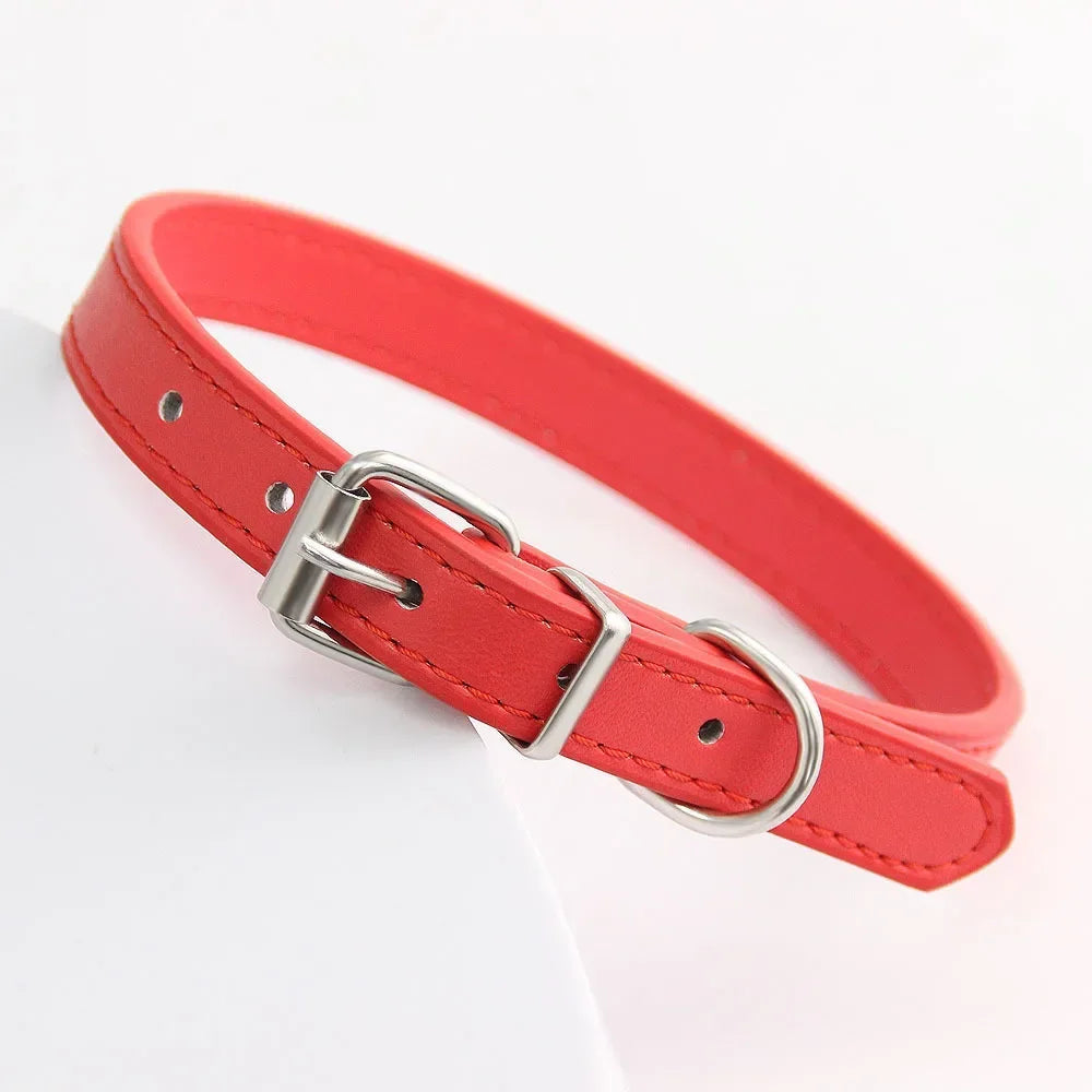 RuffRoamer™ Mini Explorer Collar Leather collar for Pets