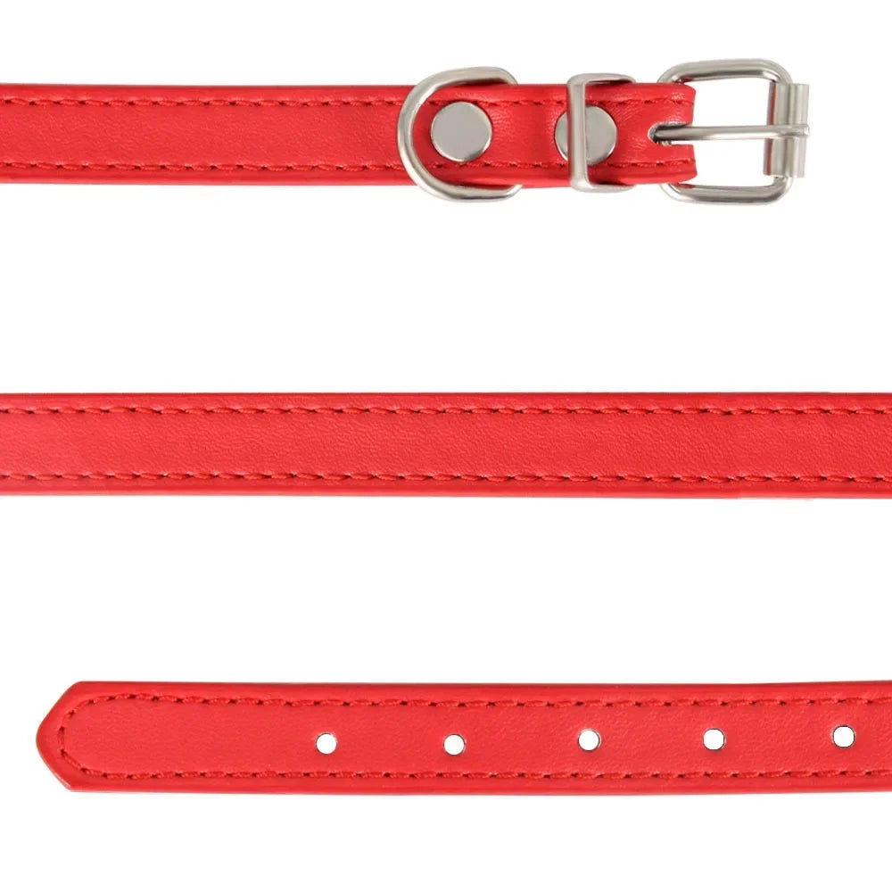 RuffRoamer™ Mini Explorer Collar Leather collar for Pets