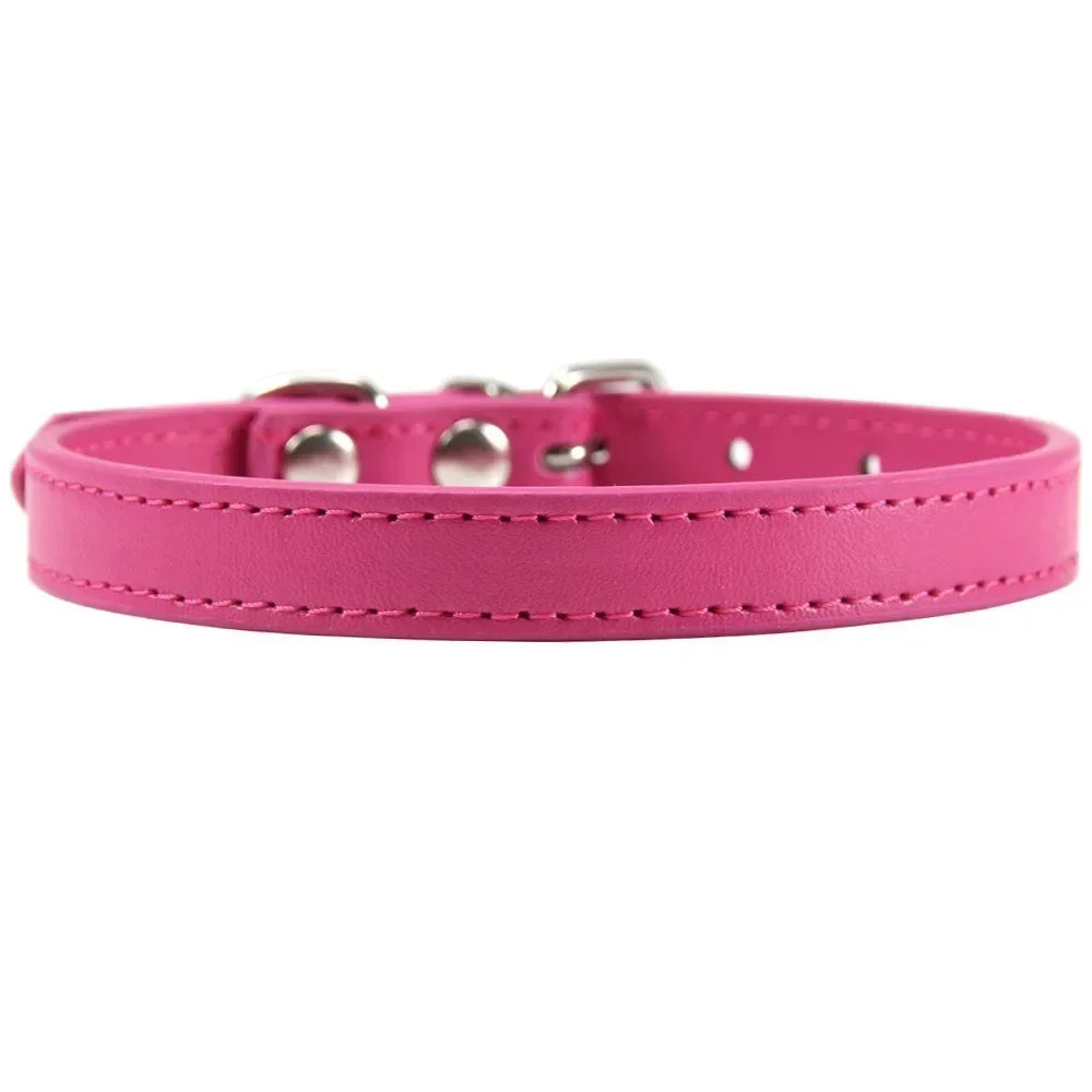 RuffRoamer™ Mini Explorer Collar Leather collar for Pets