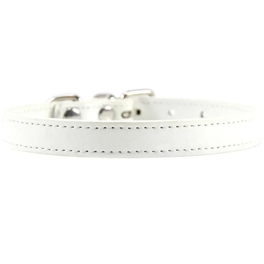 RuffRoamer™ Mini Explorer Collar Leather collar for Pets