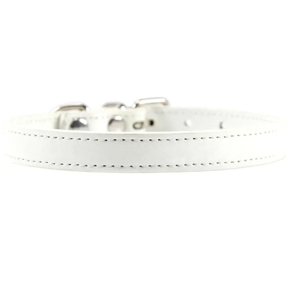 RuffRoamer™ Mini Explorer Collar Leather collar for Pets