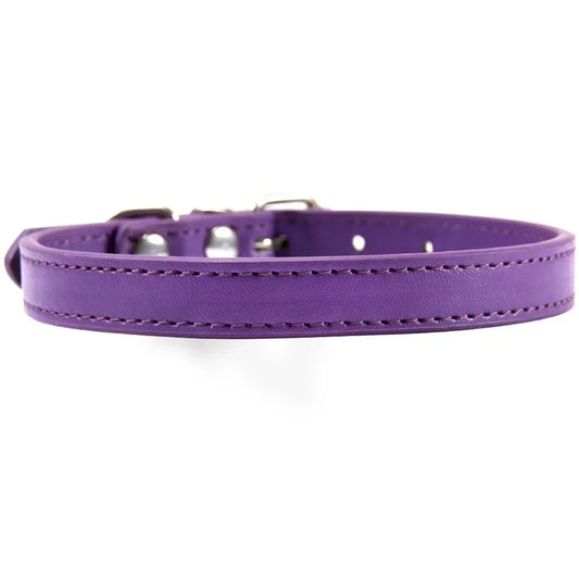 RuffRoamer™ Mini Explorer Collar Leather collar for Pets