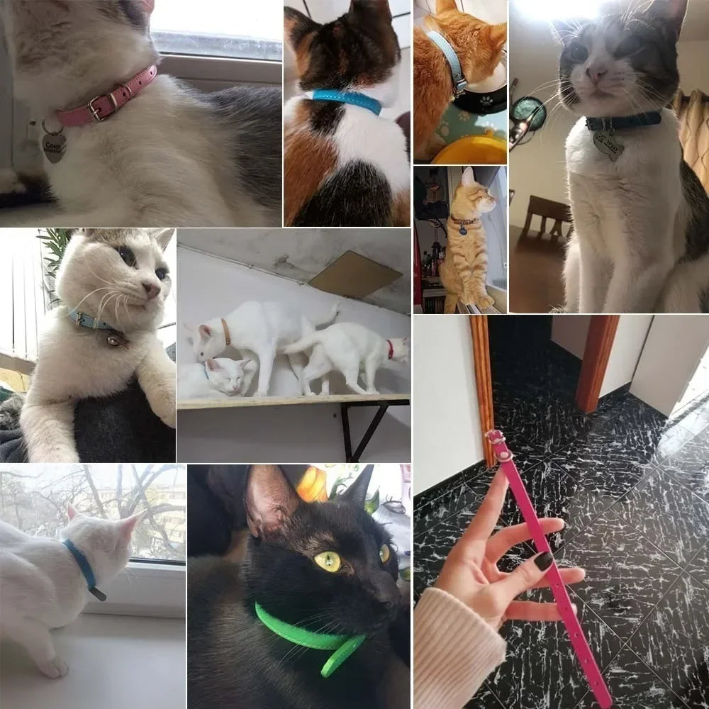 RuffRoamer™ Mini Explorer Collar Leather collar for Pets